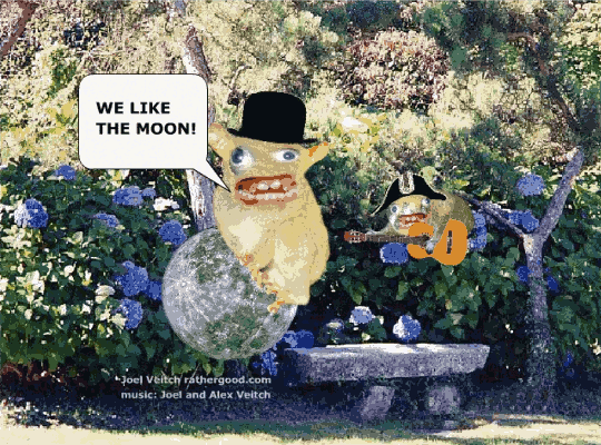 we-like-the-moon.png